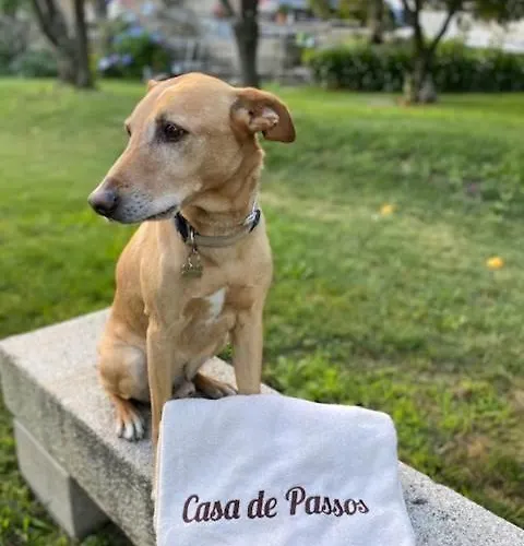 Hotel Casa De Passos Santa Marinha do Zêzere